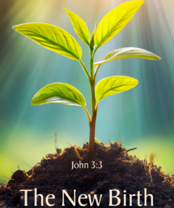 New Birth