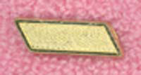 YLM Bar Award Pin