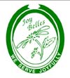 Joy Belles Iron-On Transfer Large (Green)