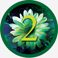 Faith Growing Completion Badge (Year 2)