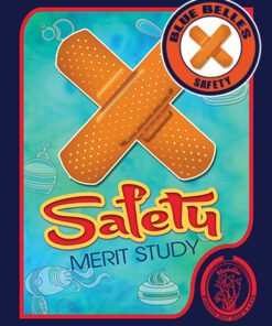 Safety Merit Study & Badge