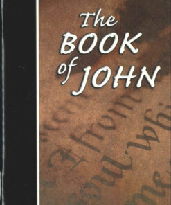 The Book of John KJV