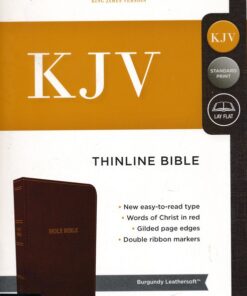 Bible KJV Thinline Imt Lth Burg Index