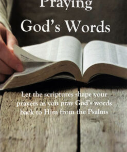 Praying God's Words  PB