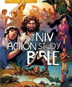 The NIV Action Study Bible HC
