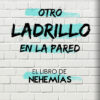 Otro Ladrillo En La Pared (Another Brick-By the Book Series)