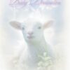 Baby Dedication Certificate (pack of 6), Lamb