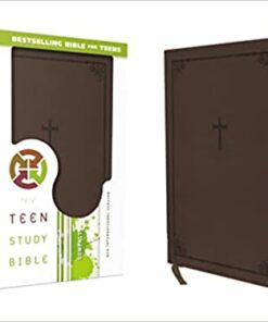 Bible NIV Teen Study Brown Leathersoft