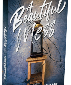 A Beautiful Mess  PB