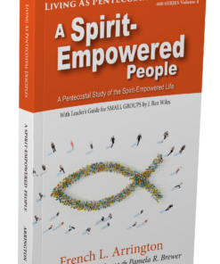 A Spirit Empowered People Vol. 4 (400 Series)