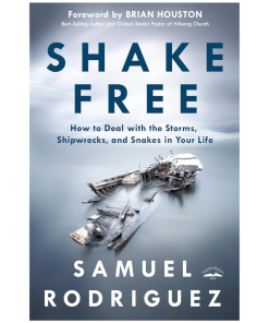Shake Free: How to Deal with the Storms, Shipwrecks, and Snakes in Your Life