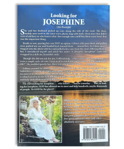 Alternative view of Looking for Josephine: Chronicles From Twenty—Four Years of Homeless Ministry