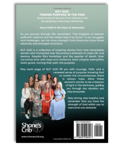 Alternative view of But God - Finding Purpose In the Pain