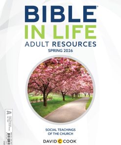 Echoes Adult Creative Teaching Aids® / Spring 2026